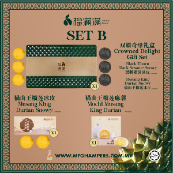 SET B@2x