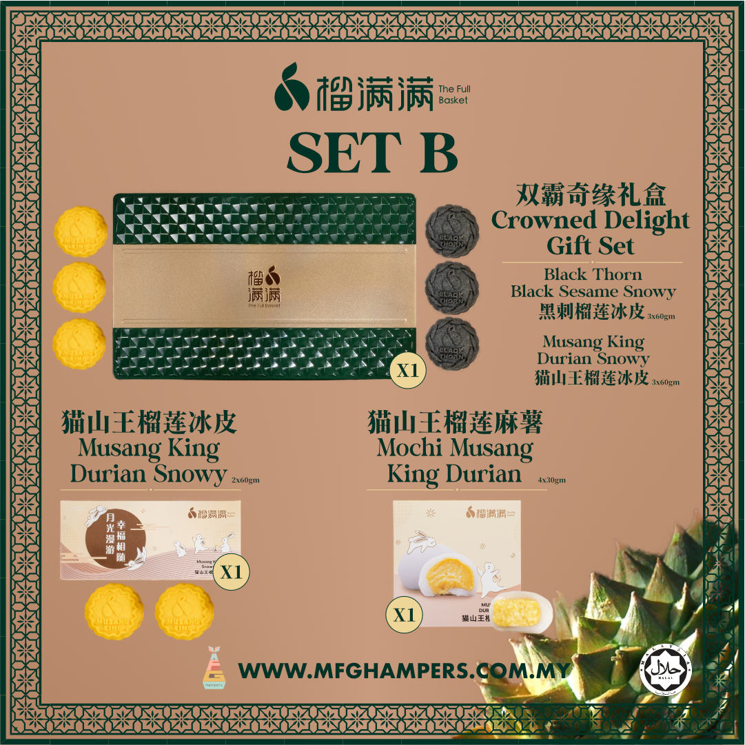 SET B@2x
